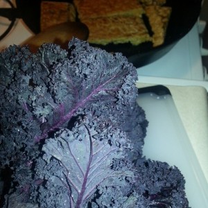 Just me and my purple kale. Everyday. 