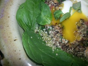 a REAL meal!  All organic, and local.  Spinach, quinoa, tomato, egg, hemp seeds, hemp seed oil...mmm Sensual Food