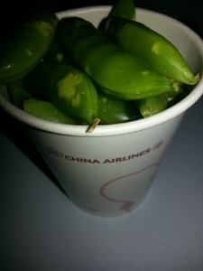 An awesome green flight snack. 